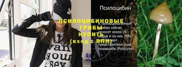 СК Михайлов