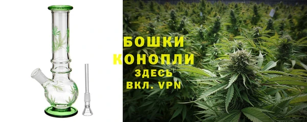 СК Михайлов