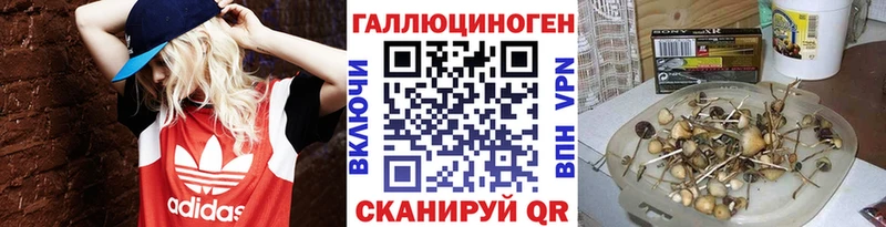 Псилоцибиновые грибы Cubensis  это состав  Электросталь 
